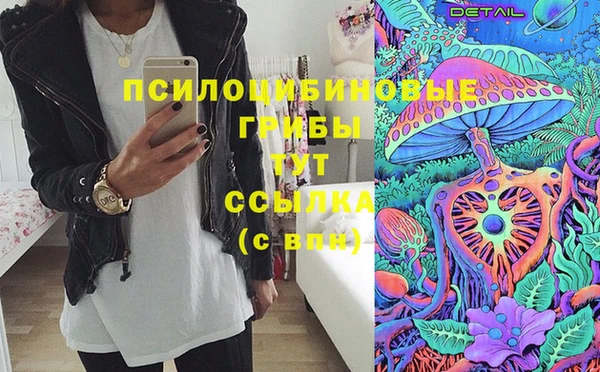 прущие грибы Белоозёрский