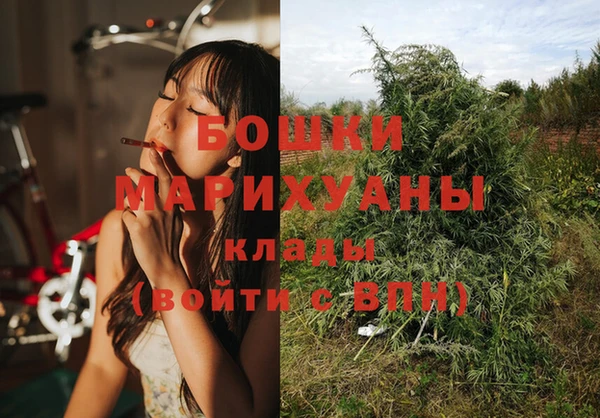 прущие грибы Белоозёрский