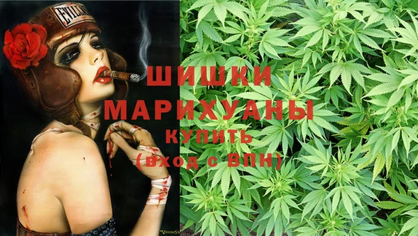 прущие грибы Белоозёрский