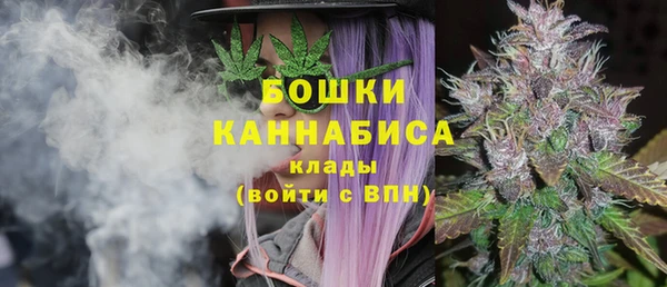 прущие грибы Балахна