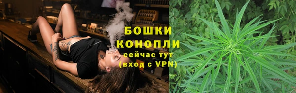 прущие грибы Белоозёрский