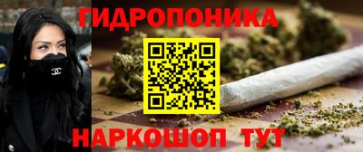 ГАЛЛЮЦИНОГЕННЫЕ ГРИБЫ Кандалакша