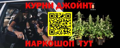 прущая мука Камышлов