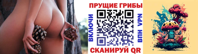 Галлюциногенные грибы Psilocybe Кушва