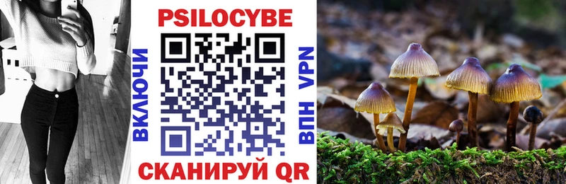 Галлюциногенные грибы Psilocybe  kraken зеркало  Кушва 