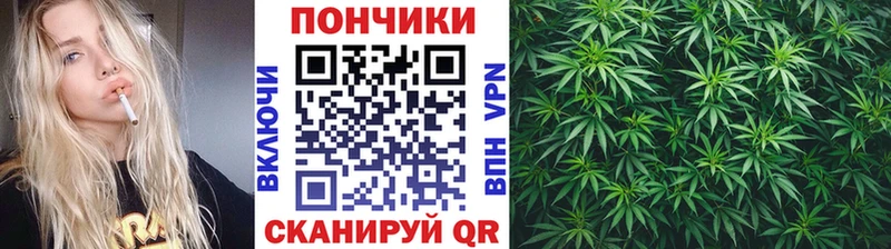 купить наркотик  Кушва  Канабис марихуана 